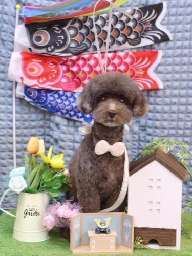 20230518きょうのちゃん